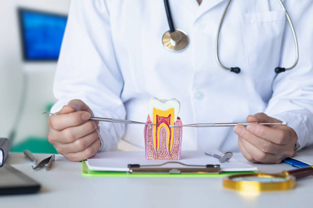 Best Urgent Tooth Repair  in Solomon, KS